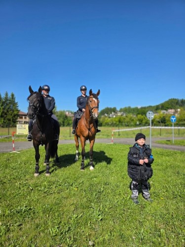 Den s Polici�