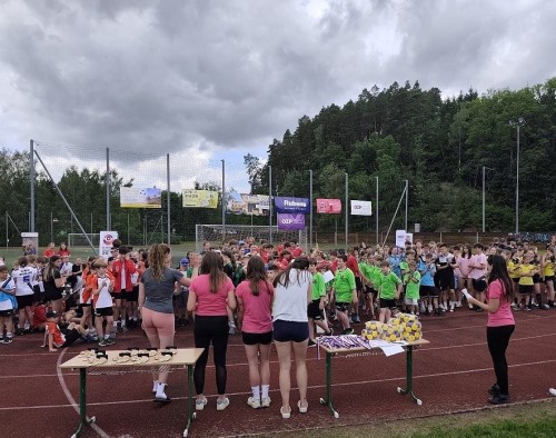 Český pohár v korfbalu