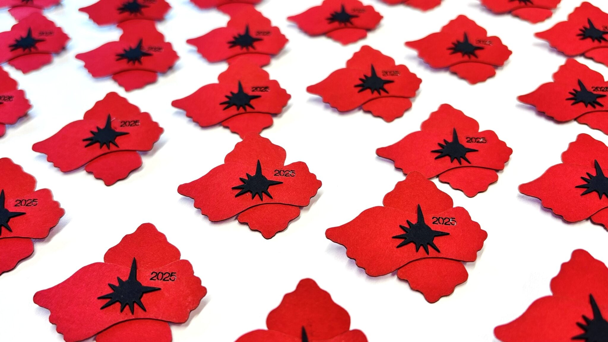 Podpora Dne válečných veteránů