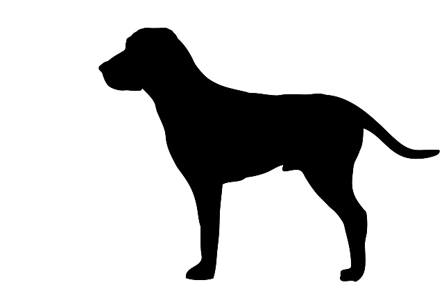 Databze ztracench a nalezench ps na internetovch strnkch SVS 