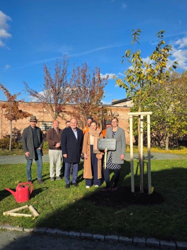 Sakura ptelstv  dar Nchoda Hradci Krlov k 800. vro
