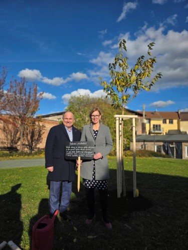 Sakura ptelstv  dar Nchoda Hradci Krlov k 800. vro