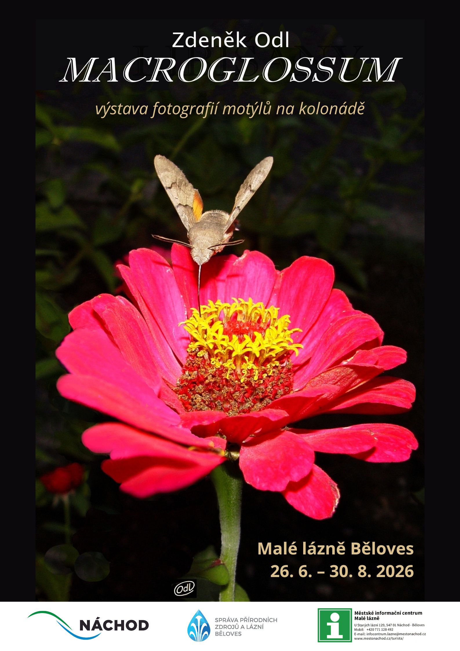 PlakátZdeněk Odl: MACROGLOSSUM